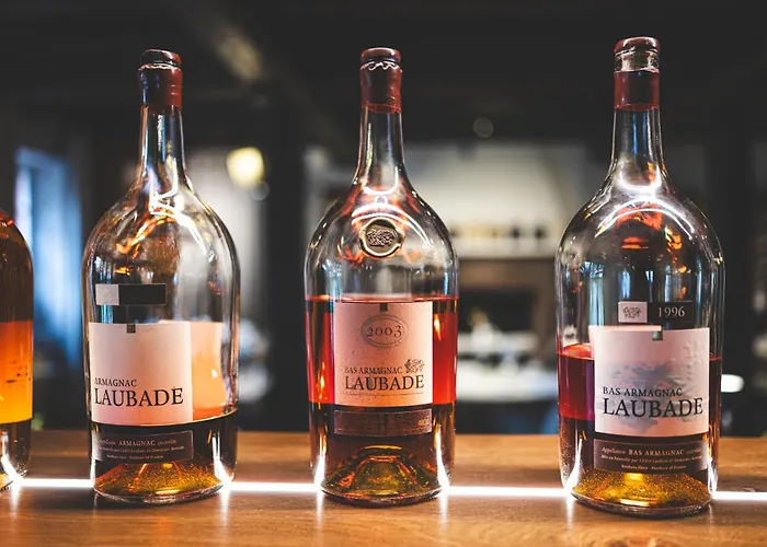 Hotel Ithurria - Teritoria