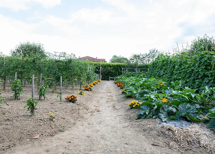 Ithurria - Teritoria 酒店 4*