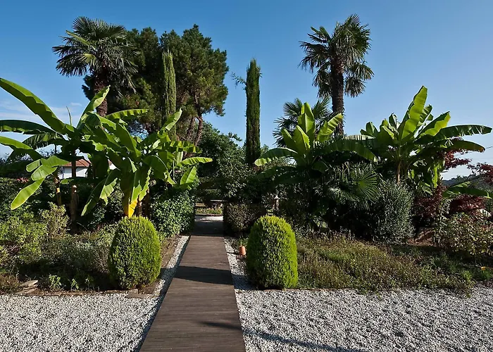 Ithurria - Teritoria Ainhoa